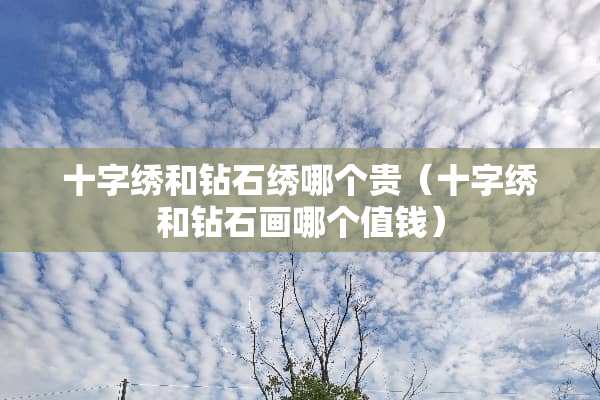 十字绣和钻石绣哪个贵（十字绣和钻石画哪个值钱）