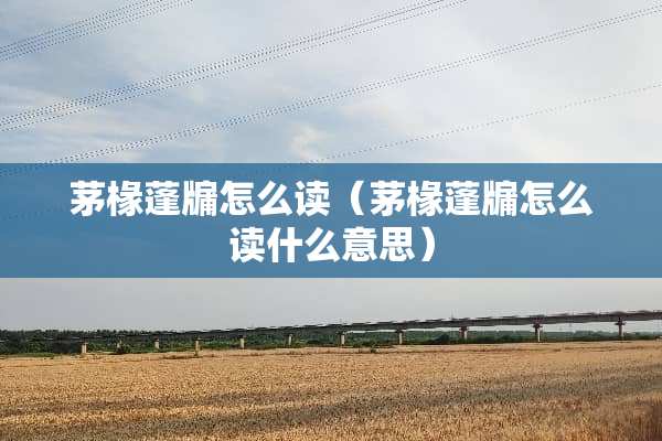 茅椽蓬牖怎么读（茅椽蓬牖怎么读什么意思）