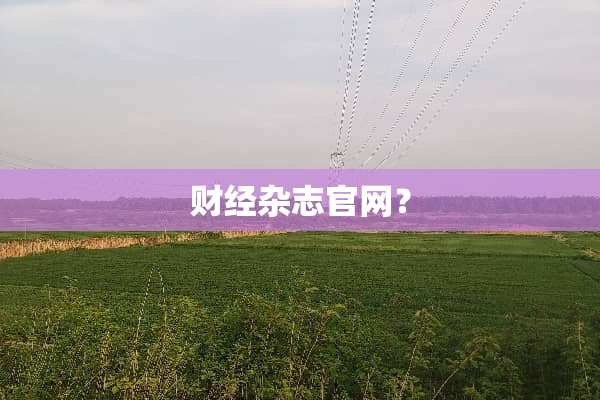 财经杂志官网？
