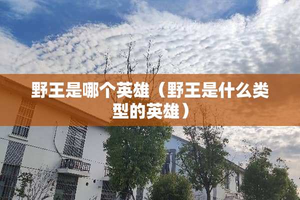 野王是哪个英雄（野王是什么类型的英雄）