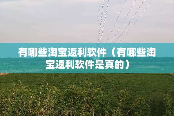 有哪些淘宝返利软件（有哪些淘宝返利软件是真的）