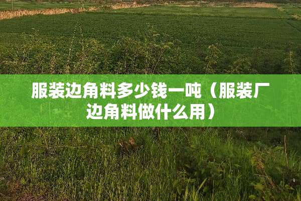 服装边角料多少钱一吨（服装厂边角料做什么用）