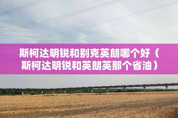 斯柯达明锐和别克英朗哪个好（斯柯达明锐和英朗英那个省油）