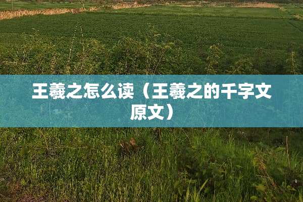 王羲之怎么读（王羲之的千字文原文）