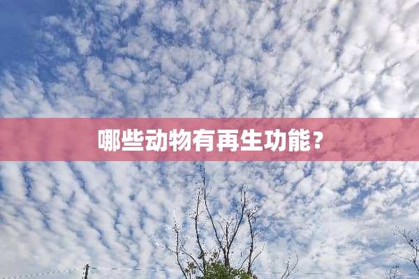 哪些动物有再生功能？