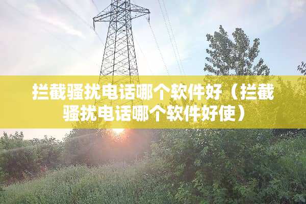拦截*扰电话哪个软件好（拦截*扰电话哪个软件好使）