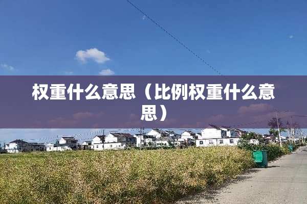 权重什么意思（比例权重什么意思）