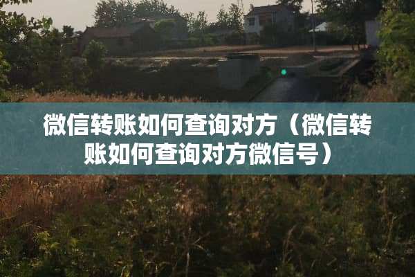 微信转账如何查询对方（微信转账如何查询对方微信号）