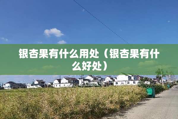 银杏果有什么用处（银杏果有什么好处）