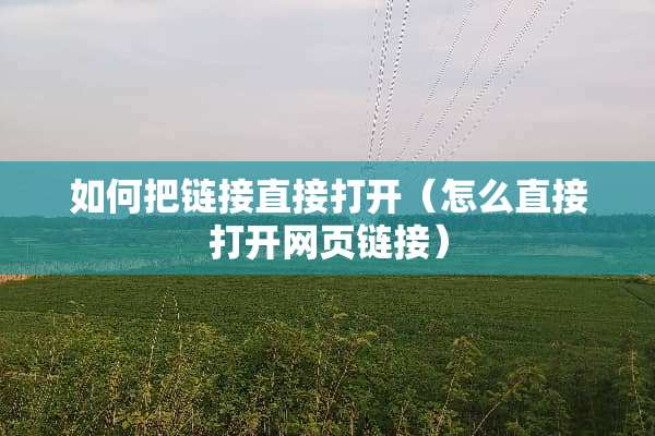如何把链接直接打开（怎么直接打开网页链接）