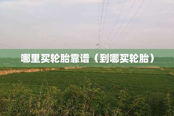 哪里买轮胎靠谱（到哪买轮胎）