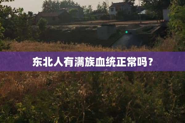 东北人有满族血统正常吗？
