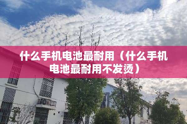 什么手机电池最耐用（什么手机电池最耐用不发烫）