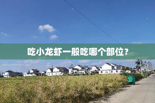 吃小龙虾一般吃哪个部位？