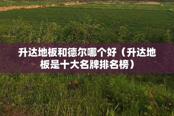 **地板和德尔哪个好（**地板是十大名牌排名榜）