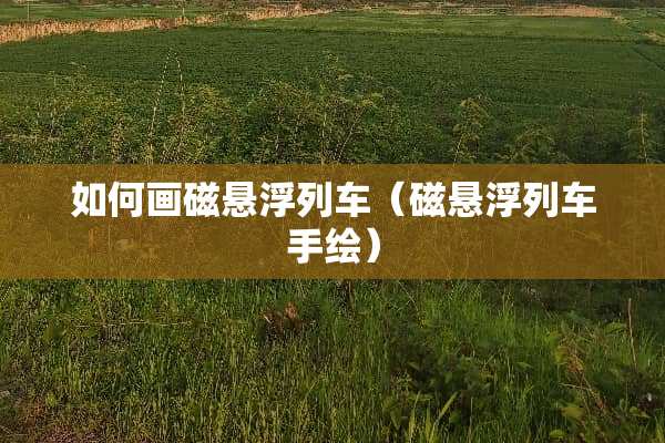 如何画磁悬浮列车（磁悬浮列车手绘）
