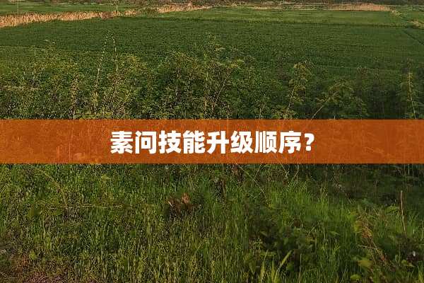 素问技能升级顺序？