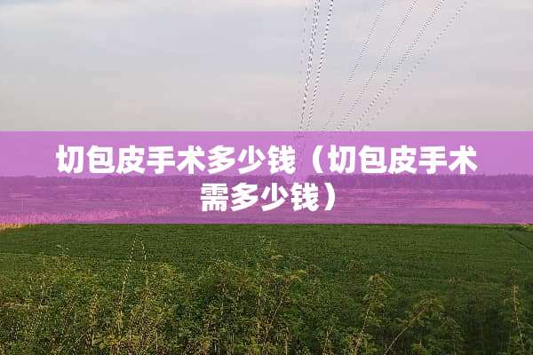切包皮手术多少钱（切包皮手术需多少钱）