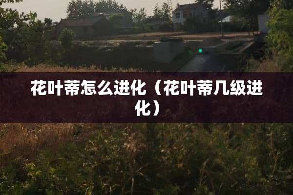 花叶蒂怎么进化（花叶蒂几级进化）