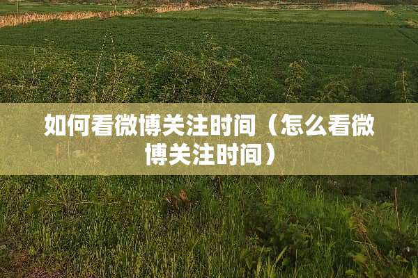 如何看微博关注时间（怎么看微博关注时间）