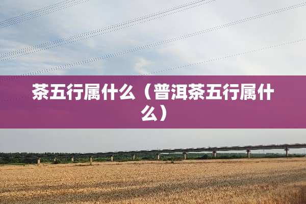 茶五行属什么（普洱茶五行属什么）