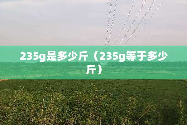 235g是多少斤（235g等于多少斤）