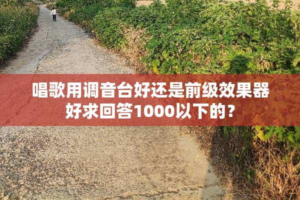 唱歌用调音台好还是前级效果器好求回答1000以下的？