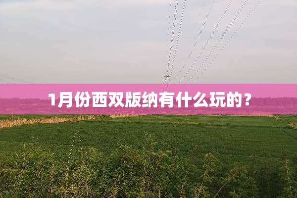 1月份西双版纳有什么玩的？