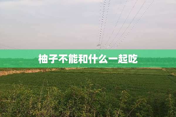柚子不能和什么一起吃