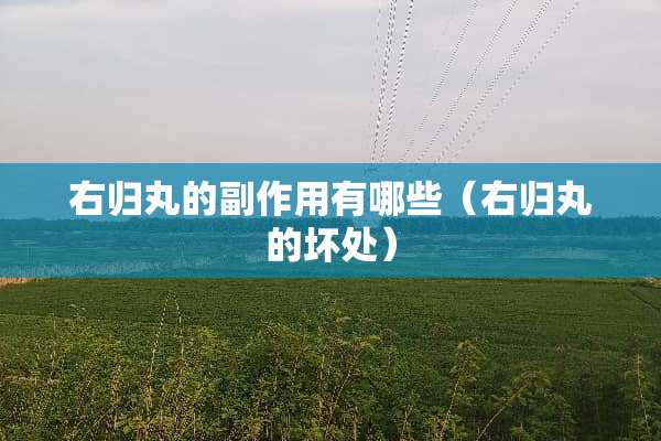 右归丸的副作用有哪些（右归丸的坏处）