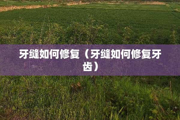 牙缝如何修复（牙缝如何修复牙齿）