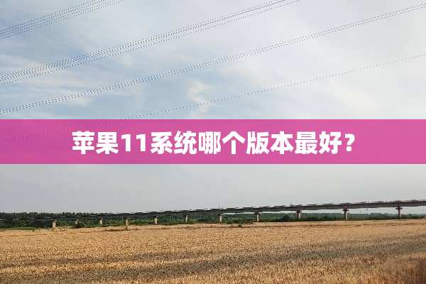 苹果11系统哪个版本最好？