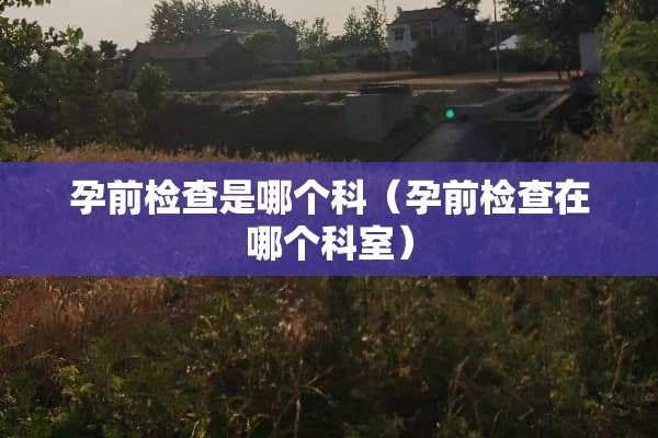 孕前检查是哪个科（孕前检查在哪个科室）
