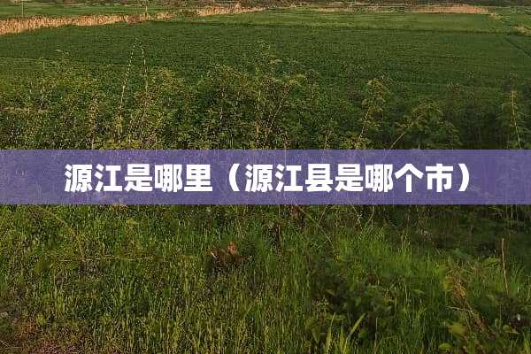源江是哪里（源江县是哪个市）