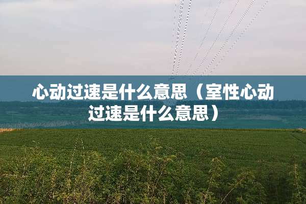 心动过速是什么意思（室性心动过速是什么意思）