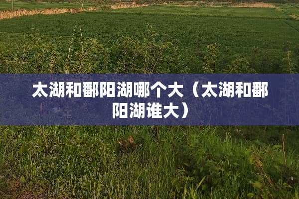 太湖和鄱阳湖哪个大（太湖和鄱阳湖谁大）