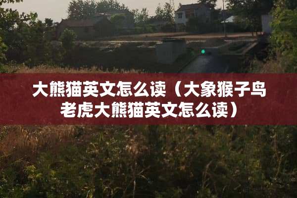 大熊猫英文怎么读（大象猴子鸟老虎大熊猫英文怎么读）