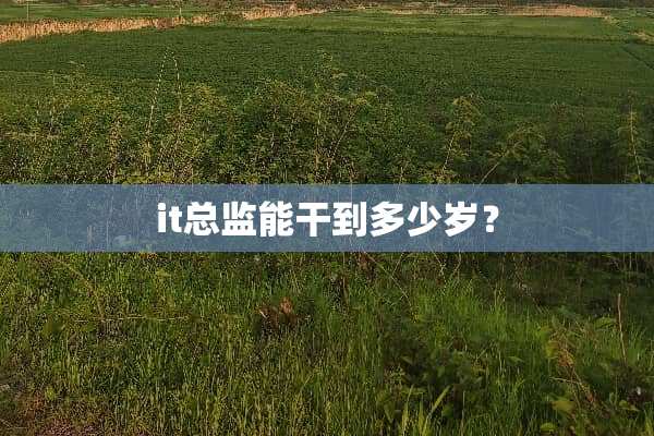 it总监能干到多少岁？