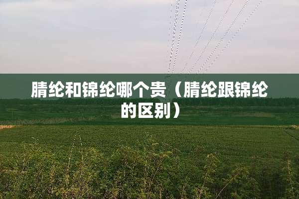 腈纶和锦纶哪个贵（腈纶跟锦纶的区别）