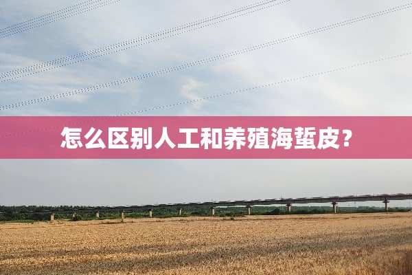 怎么区别人工和养殖海蜇皮？