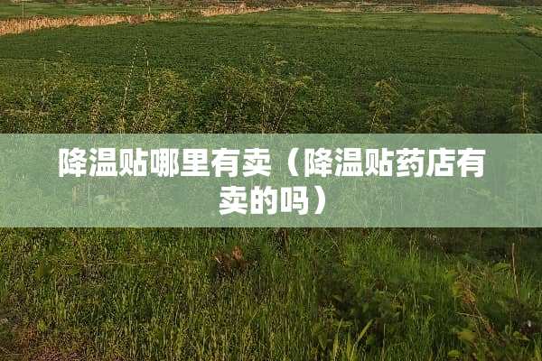 降温贴哪里有卖（降温贴药店有卖的吗）