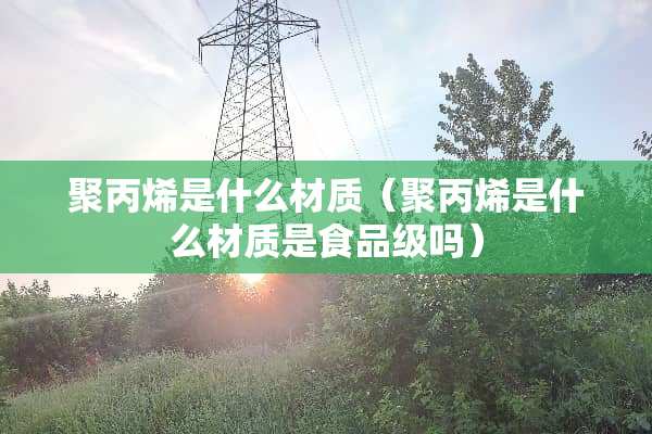 聚丙烯是什么材质（聚丙烯是什么材质是食品级吗）