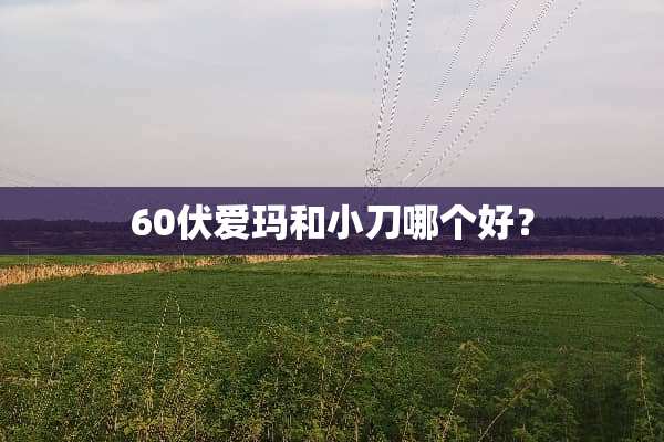60伏爱玛和小刀哪个好？