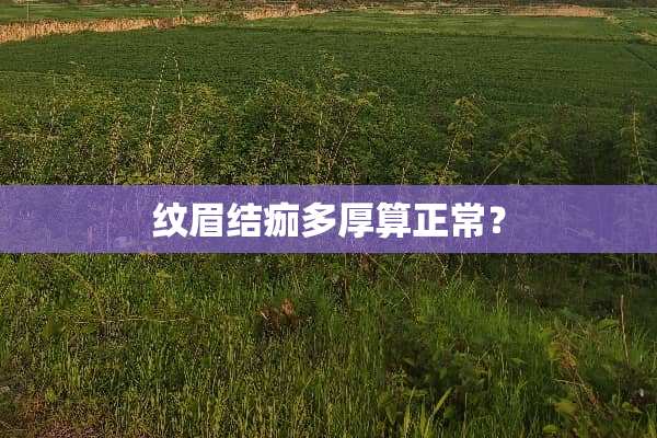 纹眉结痂多厚算正常？