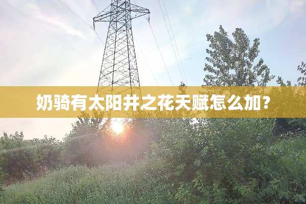 奶骑有太阳井之花天赋怎么加？