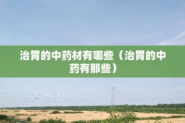 治胃的中药材有哪些（治胃的中药有那些）