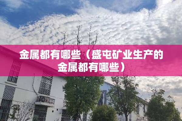 金属都有哪些（盛屯矿业生产的金属都有哪些）