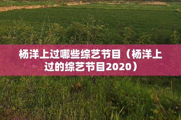 杨洋上过哪些综艺节目（杨洋上过的综艺节目2020）