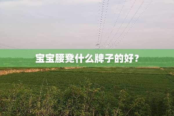 宝宝腰凳什么牌子的好？