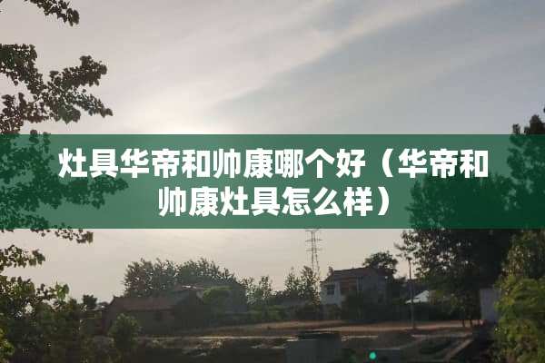 灶具华帝和帅康哪个好（华帝和帅康灶具怎么样）